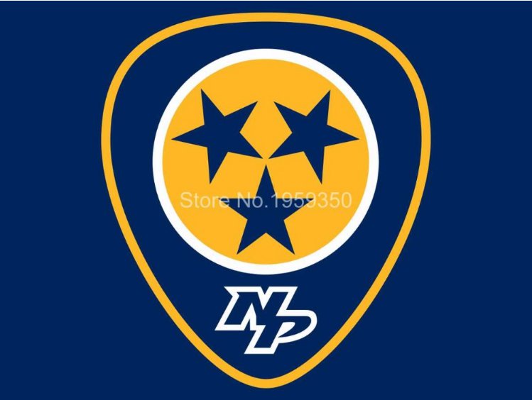 Nashville Predators Flag 3ftx5ft Banner 100D Polyester NHL Flag style 1