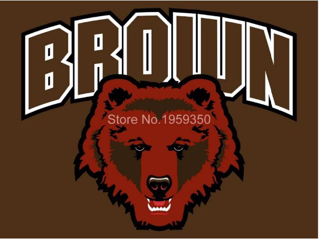 Brown Bears Helmet Flag 3ftx5ft Banner 100D Polyester NCAA Flag style 2