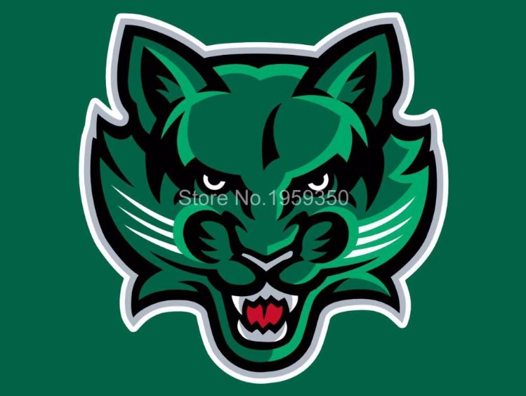 Binghamton Bearcats Flag 3ftx5ft Banner 100D Polyester NCAA Flag style 1