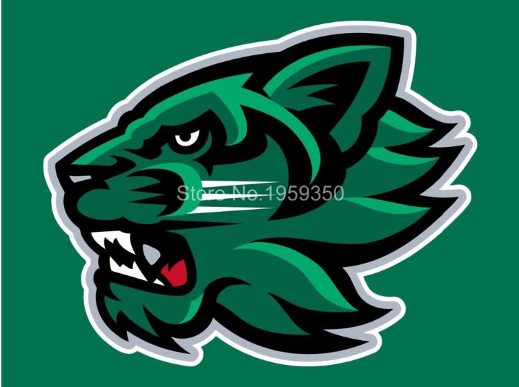 Binghamton Bearcats Flag 3ftx5ft Banner 100D Polyester NCAA Flag style 4