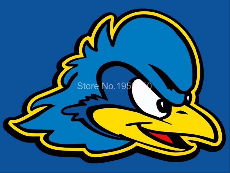 Delaware Fightin Blue Hens flag 3ftx5ft Banner 100D Polyester NCAA Flag style 2