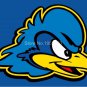Delaware Fightin Blue Hens flag 3ftx5ft Banner 100D Polyester NCAA Flag style 2