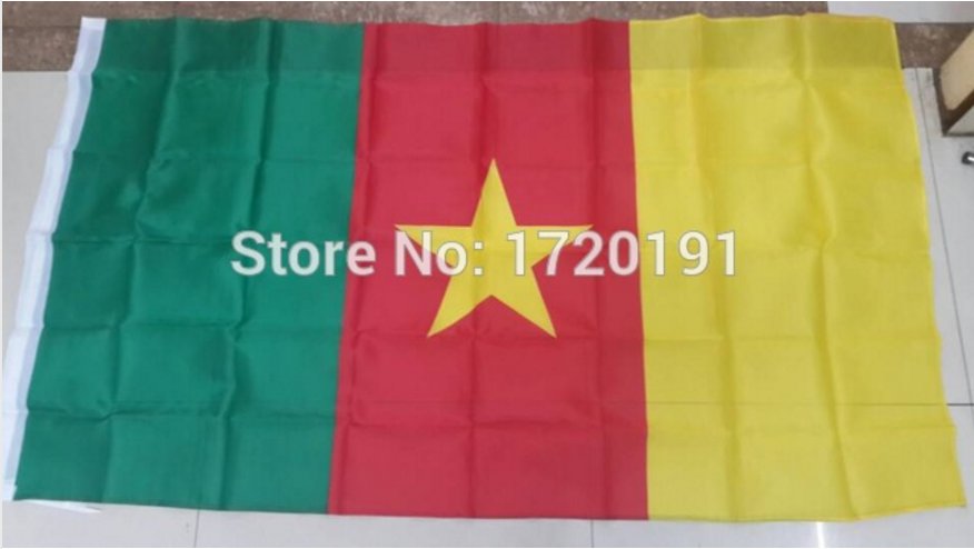 Cameroon National Flag 3x5ft 150x90cm 100D Polyester