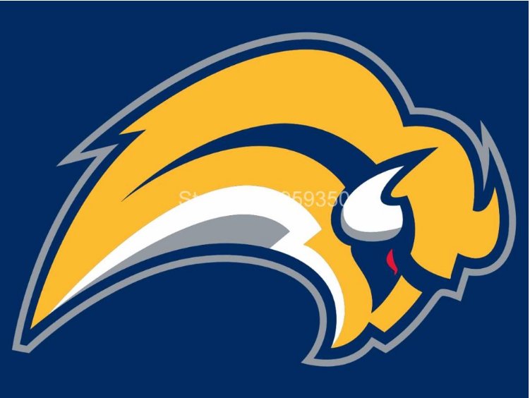 Buffalo Sabres Flag 3FTx5 FT 150X90CM Banner 100D Polyester NHL flag style 2