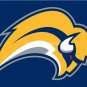 Buffalo Sabres Flag 3FTx5 FT 150X90CM Banner 100D Polyester NHL flag style 2