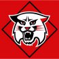 Davidson Wildcats flag 3ftx5ft Banner 100D Polyester NCAA Flag style 2