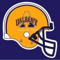 Albany Great Danes Helmet flag 3ftx5ft Banner 100D Polyester NCAA Flag