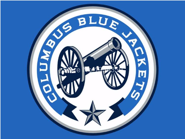 Columbus Blue Jackets Flag 3ftx5ft Banner 100D Polyester NHL Flag style 2