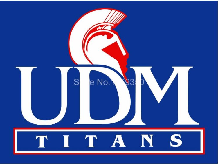 Detroit Mercy Titans Flag 3ftx5ft Banner 100D Polyester NCAA Flag style 2
