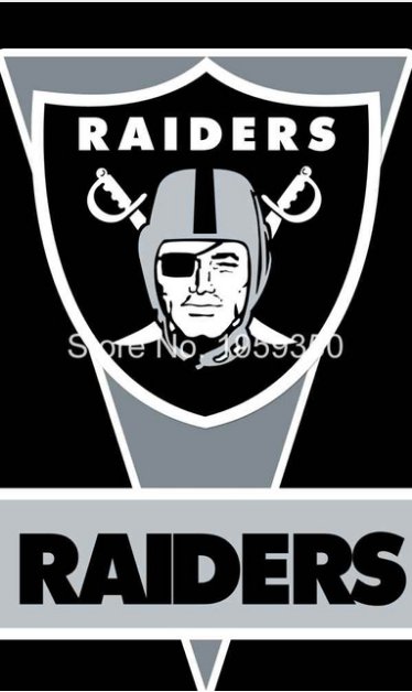 Oakland Raiders vertical flag 3ftx5ft Banner 100D Polyester Flag metal Grommets