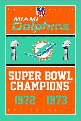 Miami Dolphins Champions Flag 3ft x 5ft Polyester 90X150cm 2 metal grommets