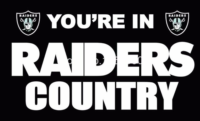 Oakland Raiders Flag 3ft x 5ft Polyester Banner Flying Custom flag