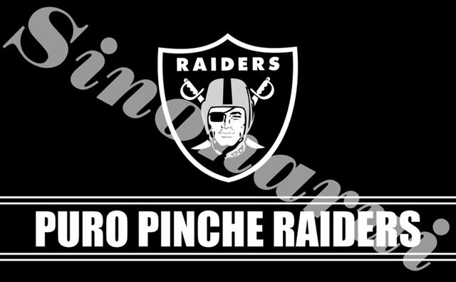 Oakland Raider Banner Flag Custom Flags 90*150CM With White Sleeve Gromets