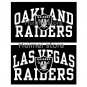 Oakland Raiders banner,90X150CM polyester flag king,Oakland Raiders flag
