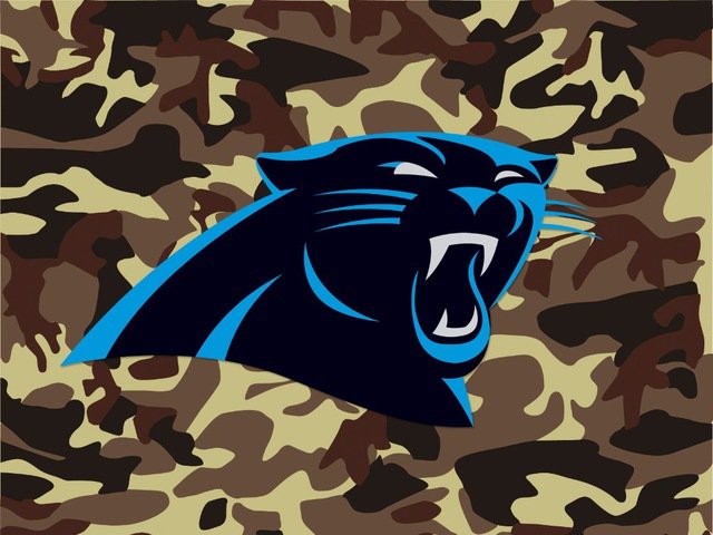 Carolina Panthers Camo Flag 3ft x 5ft Polyester banner white sleeve
