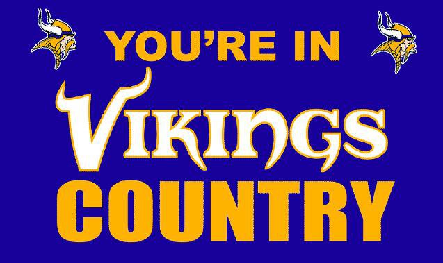 Minnesota Vikings you're in country Flag 3ft x 5ft Polyester Banner 90x150cm