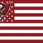 Tampa Bay Buccaneers logo with US stars and White stripes Flag 3FTx5FT