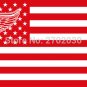 Detroit Red Wings Ice Hockey Sports Team Star and Stripe National Flag 3ft X 5ft