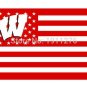 Wisconsin Badgers flag with us stars stripes 3ftx5ft Banner 100D Polyester Flag