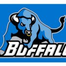 University of Buffalo Bulls NCAA Flag hot sell goods 3X5FT Banner