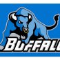 University of Buffalo Bulls NCAA Flag hot sell goods 3X5FT Banner