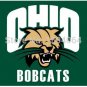 Ohio Bobcats flag 3ftx5ft Banner 100D Polyester Flag metal Grommets