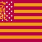 Trojans modified US Flag 3ft x 5ft Polyester Banner 90x150cm white sleeve