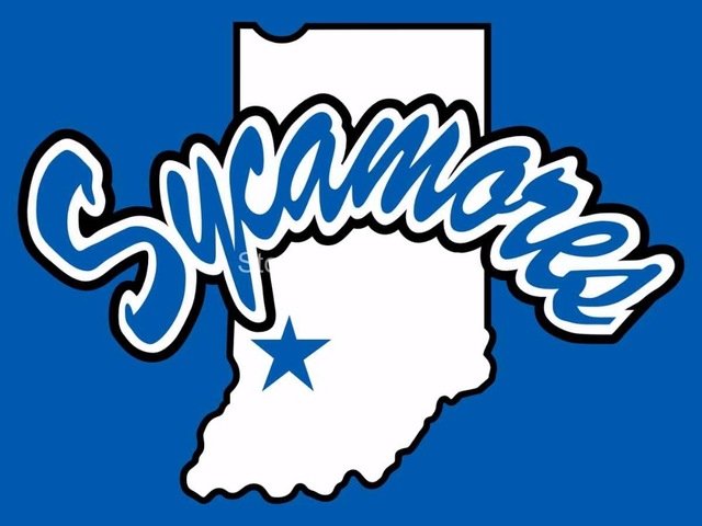 Indiana State Sycamores Flag 3ftx5ft Banner 100D Polyester NCAA Flag(2)