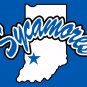 Indiana State Sycamores Flag 3ftx5ft Banner 100D Polyester NCAA Flag(2)