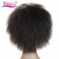Wigs None Kanekalon Heat Resistant Straight Lace Front Wig Curly For Black Women Wigs Size 6
