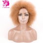 Black African American Curly Synthetic Straight Short Curly Hair Wig Kanekalon Wigs For Women