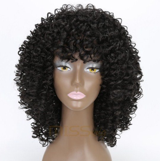 Wig Afro Kinky Curly Wigs for Black Women Mixed Blondes Brown250g Synthetic Wigs