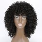 Wig Afro Kinky Curly Wigs for Black Women Mixed Blondes Brown250g Synthetic Wigs