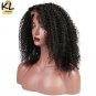 Lace Front Human Hair Wigs For Black Women Curly Brazilian Curly Hair Remy Glueless Lace Wig Size 20