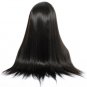 Lace Front Human Hair Wigs With Baby Hair 250% Straight Density Brazilian Lace Front Wigs Size 20