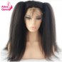 Hair Straight Glueless Human Hair Lace Front Wig Black Wigs for Women Thick Remy  Baby Hair Size 24