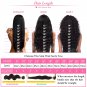 Lace Front Wigs with Baby Hair Rayita Loose Wave Remy Malaysian Human Hair SIze 14