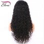 Curly Hair Front Wigs Lace Human Hair Brazilian Remy Hair Lace Front Wig With Baby Hair Size 20