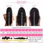 Human Hair Lace Front Wig With Peruvian Remy Hair Wig Pre Pre Plucked Hairline Bleached 12 inch