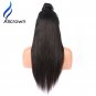 Human Hair Wigs Brazilian Straight Remy Hair Wig Pre Plucked Natural 12 inch
