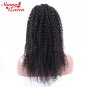 Curly Wig Lace Front Human Hair Wigs With Natural Hairline Baby Hair Lace Remy Wig 16 inch