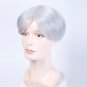 Wig Silver Short Straight Wig Costume Halloween Party Heat Resistant Synthetic Hair Cosplay Wigs