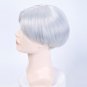 Wig Silver Short Straight Wig Costume Halloween Party Heat Resistant Synthetic Hair Cosplay Wigs