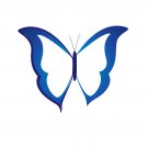 Blue Butterfly