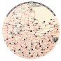 VTG Southeastern Advertising Dist-O-Map Northeast 1964