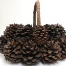 Rustic Pine Cone Basket Twig / Wire / Pine Cones