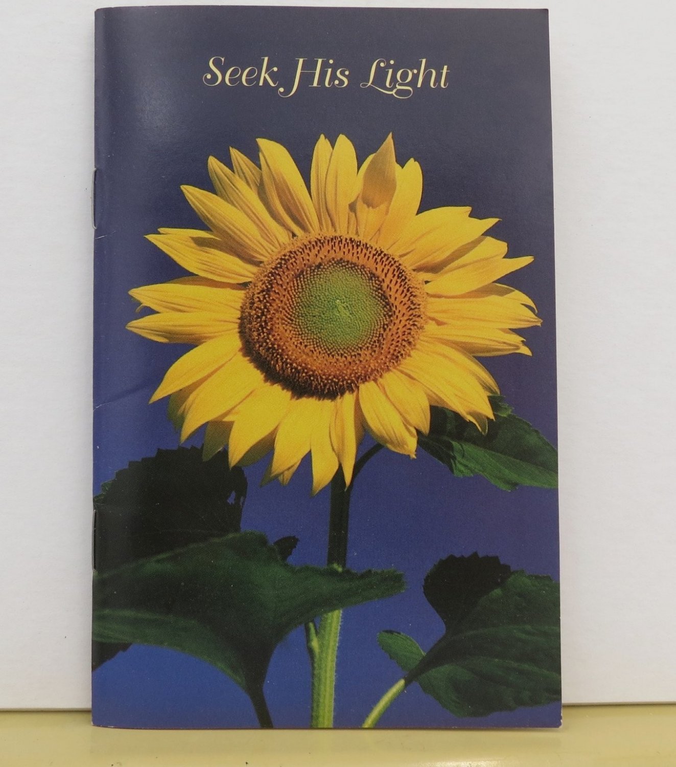 Seek His Light Jennifer Grimaldi 2003 Illustrated Inspirational Booklet