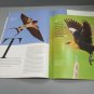 Birds & Blooms Magazine Extra! September 2017 Yellow Finch Cover