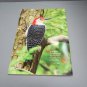 Birds & Blooms Magazine Extra! September 2017 Yellow Finch Cover