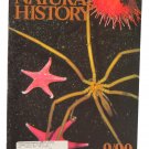 Natural History Magazine September 1990 Sea Spider & Starfish Cover